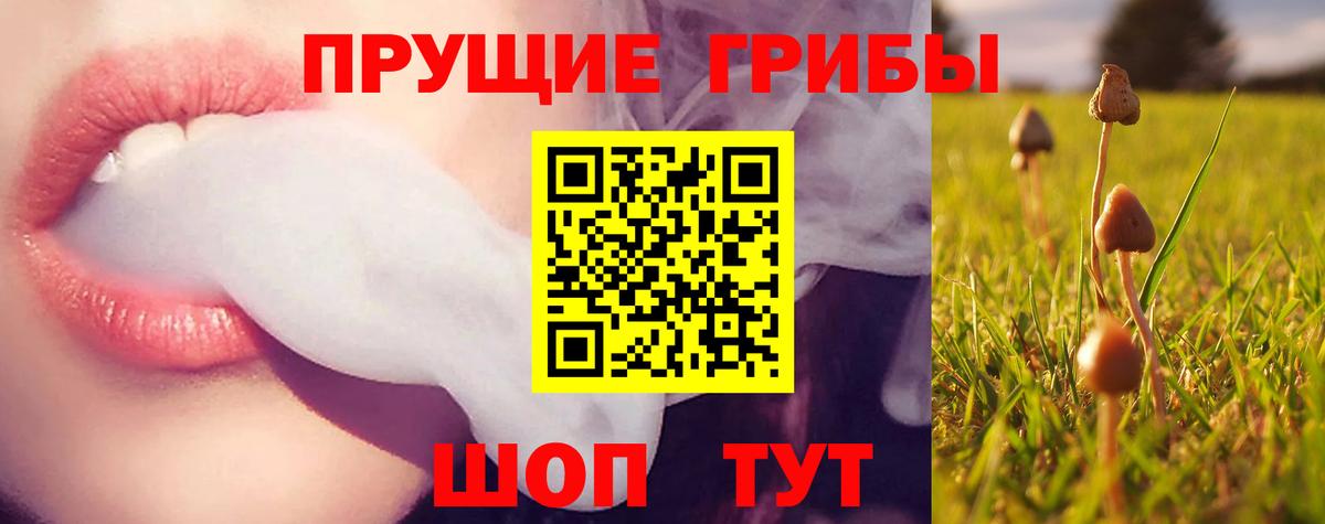 Псилоцибиновые грибы ЛСД  Галлюциногенные грибы MAGIC MUSHROOMS  Кулебаки  Вход с VPN 